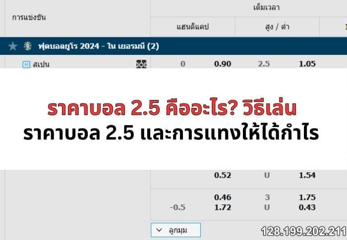 ราคาบอล-2-5-คืออะไร-03