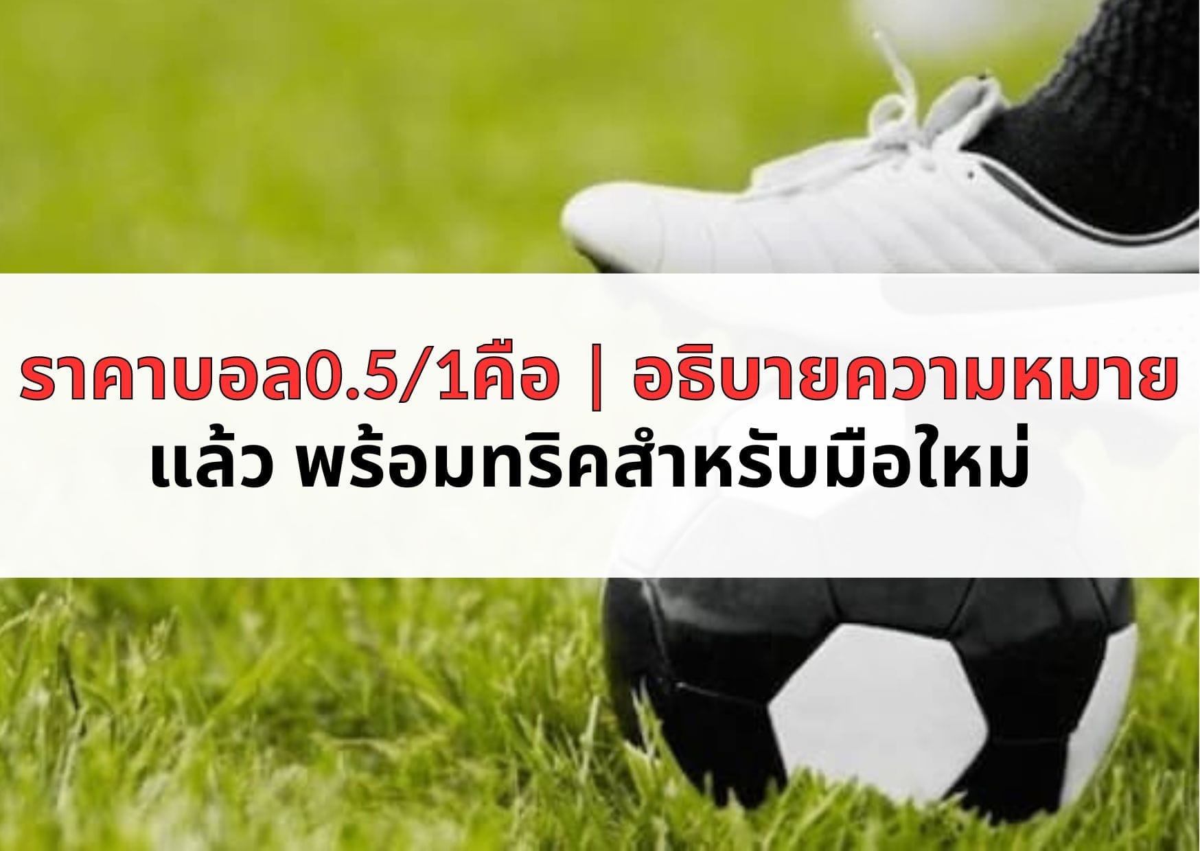 ราคาบอล0.51คือ อธิบายความหมายแล้ว พร้อมทริคสำหรับมือใหม่
