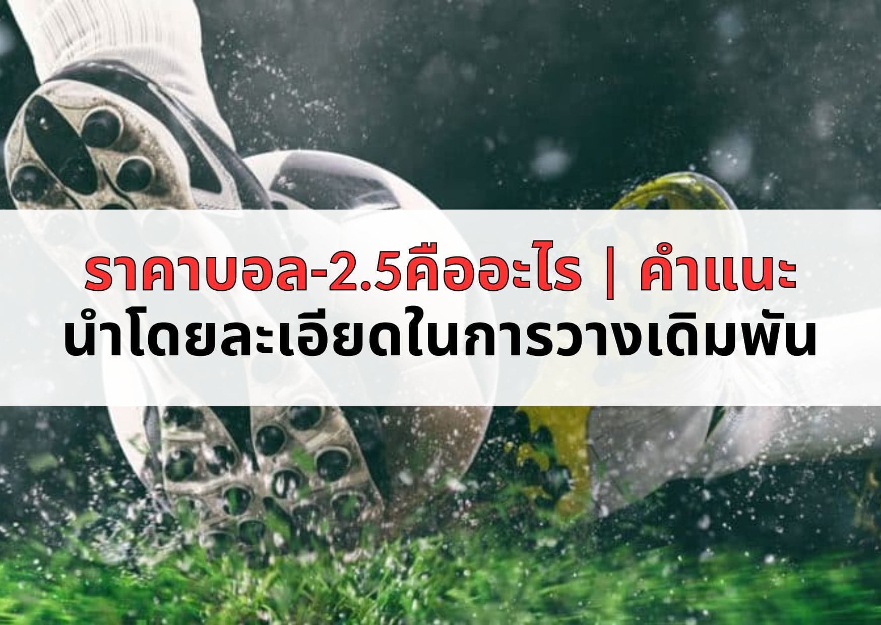 ราคาบอล-2.5คืออะไร | คำแนะนำโดยละเอียดในการวางเดิมพัน