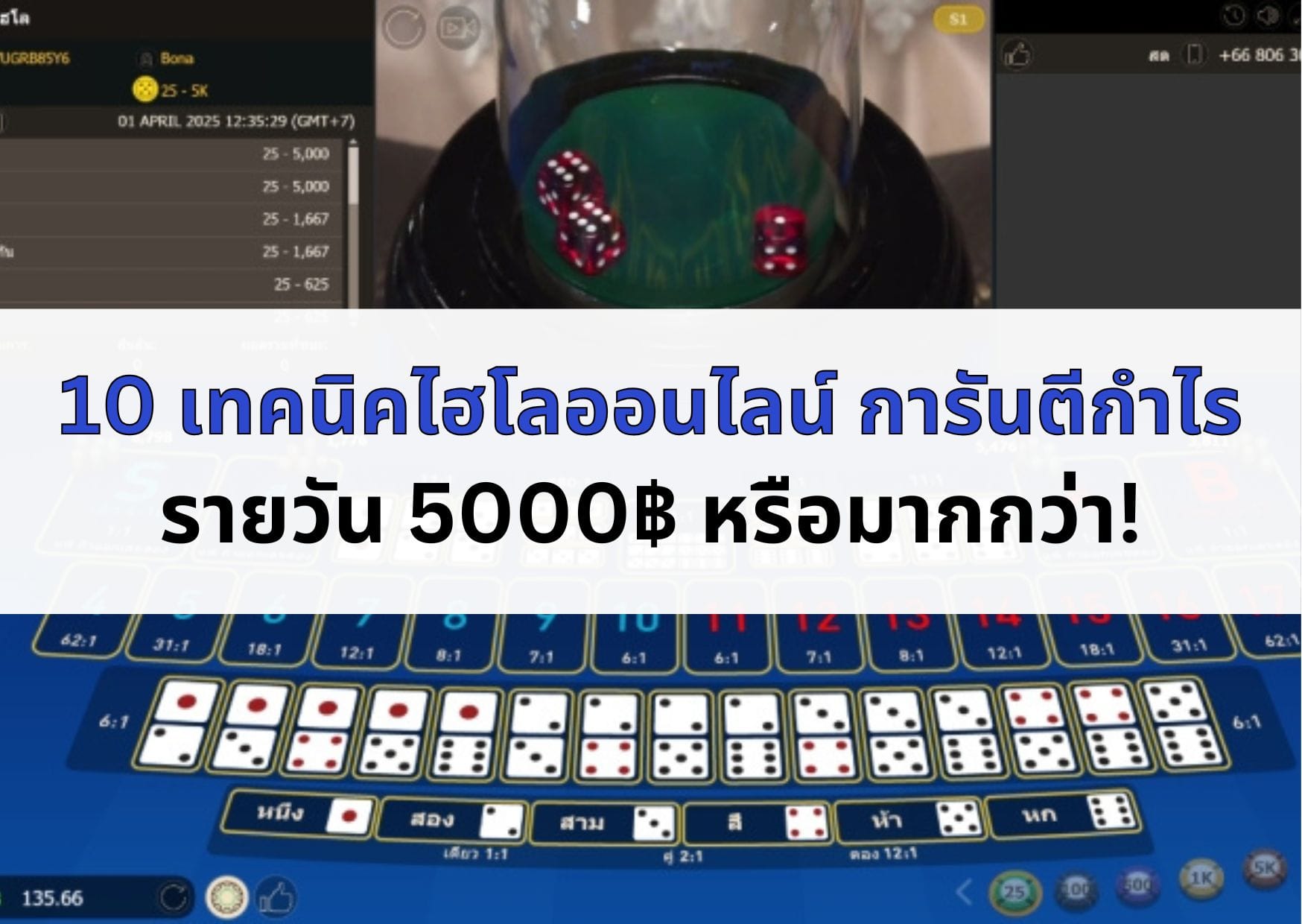 ภาพหน้าปก เทคนิคเล่น ไฮโลออนไลน์