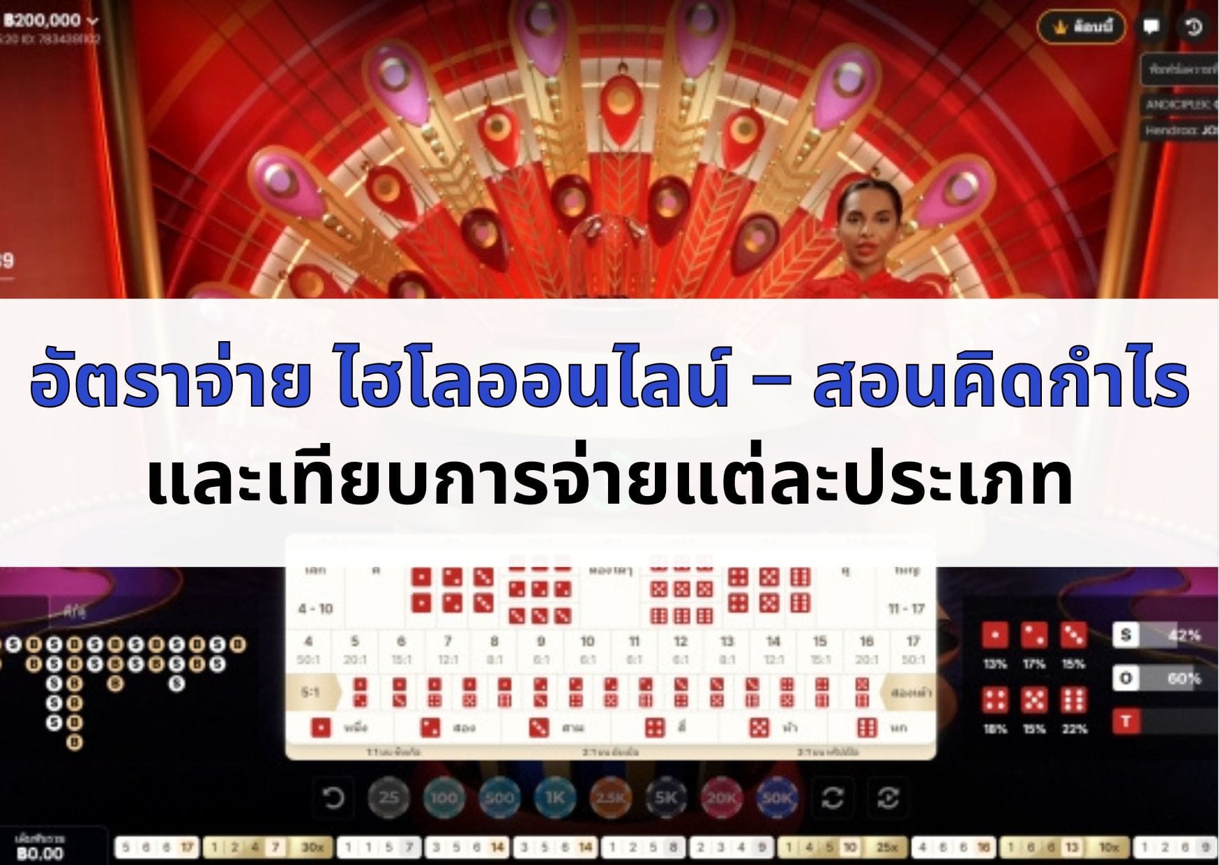 หน้าปก ของอัตราจ่าย ไฮโล