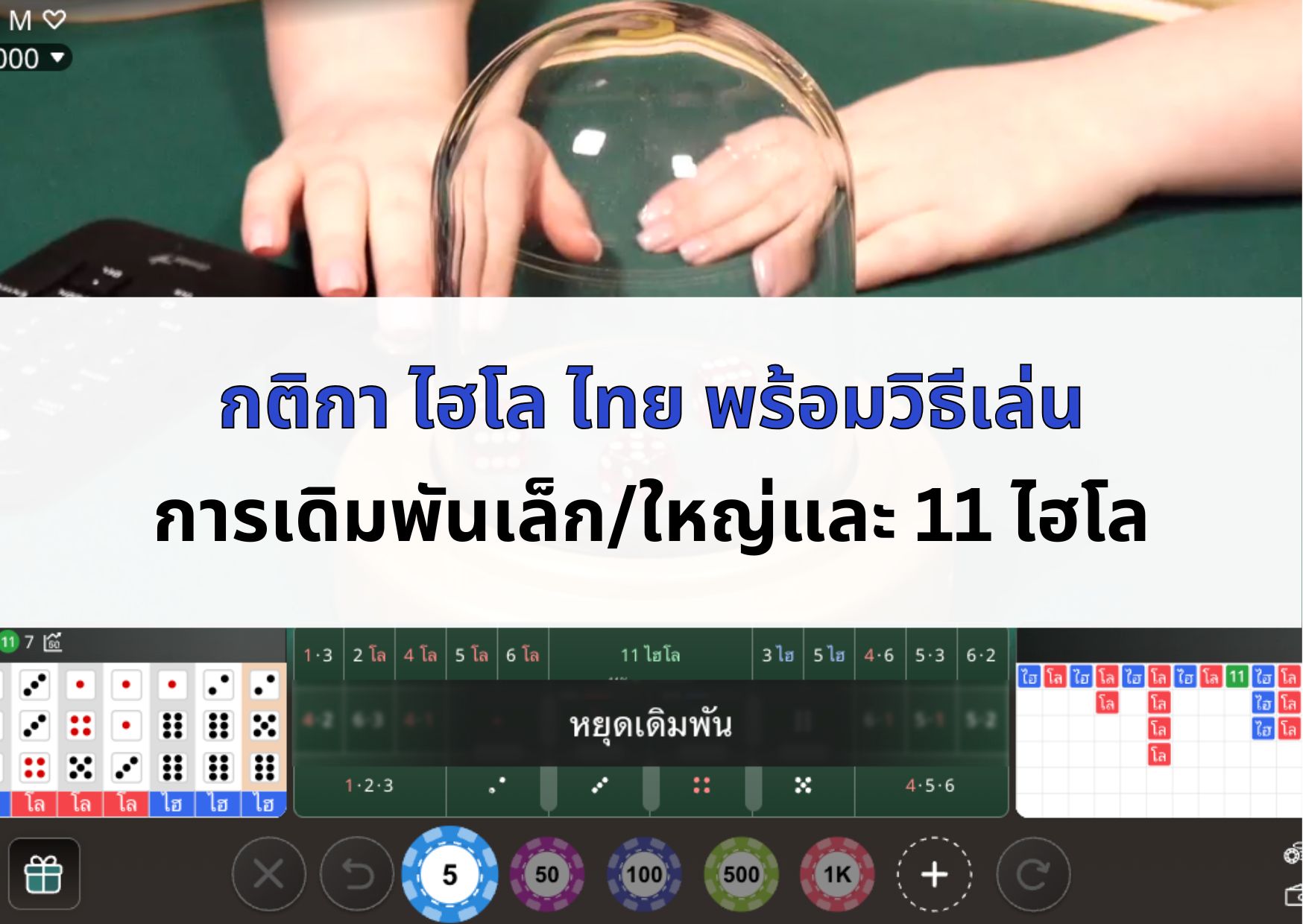 the-cover-of-thai-hilo-rules-article-06